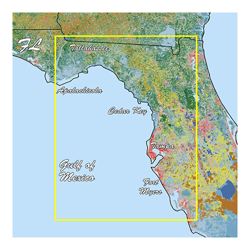 Garmin Florida West Pen Standard Mapping Premium (010-C1202-00)