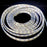 PlashLights 12v RGBW Color Changing Waterproof Flexible Light Strip - Ip68 - 8' | FLS-RGBW-68-8FT