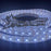 PlashLights 12v RGBW Color Changing Waterproof Flexible Light Strip - Ip68 - 8' | FLS-RGBW-68-8FT