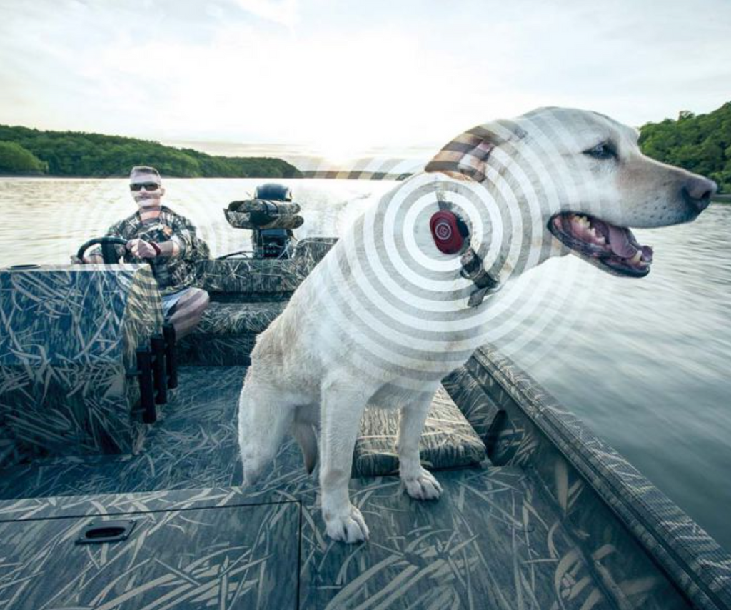 FELL Marine MOB+ Basepack Wireless Engine Cutoff Switch Man Overboard Safety Device for Boats (72.380.206)