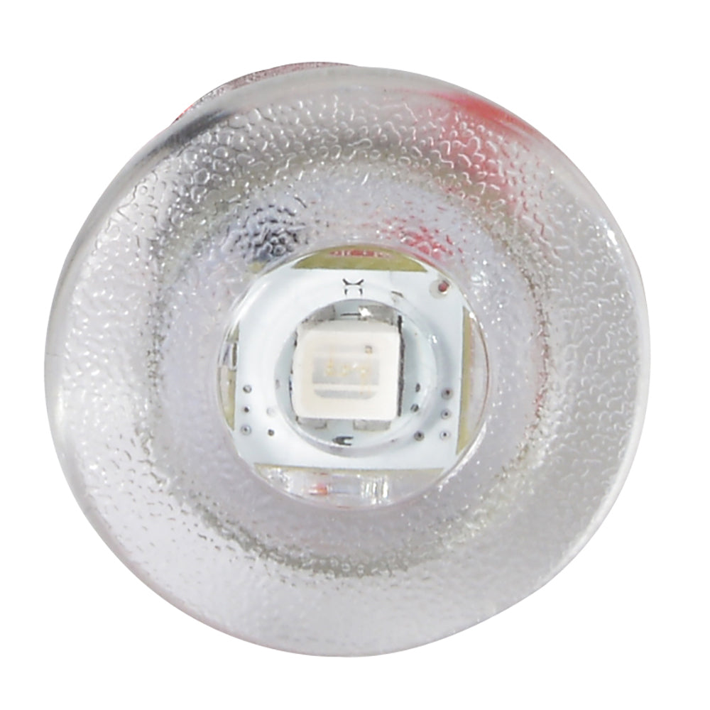 Lumitec Newt - Livewell & Courtesy Light - Warm White Non-Dimming (101240)