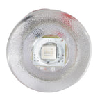 Lumitec Newt - Livewell & Courtesy Light - Warm White Non-Dimming (101240)