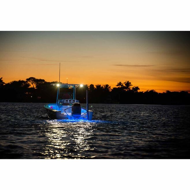 Lumitec Contour 39" Combo Light, 12/24VDC Black Shaft Use Standard Antenna Mount (101905)