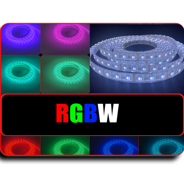 PLASHLIGHTS 12v RGBW Color Changing Waterproof Flexible Light Strip - Ip68 - 16' | FLS-RGBW-68-16FT