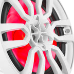 DS18 NXL-8 HYDRO 8" 125W RMS 4-Ohm 2-Way Marine Coaxial Speakers with RGB LED Lighting, White Composite Grilles, Pair